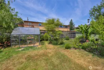 Large usable area in backyard with greenhouse that conveys