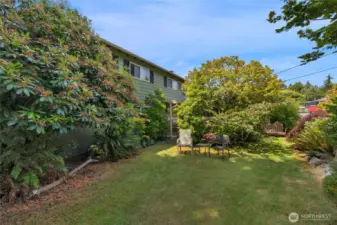 Lawn area on front yard