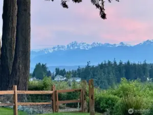 Views of the Olympic mountains.