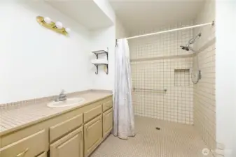 Main floor primary bath that is totally walk-in. Mirror has been added.