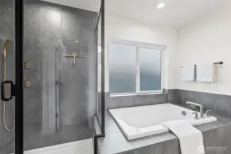 Huge walk in shower and soaker tub.