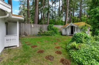 Shop and garden shed