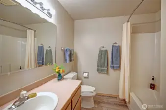 Guest Bathroom~