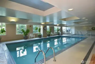Pool and hot tub