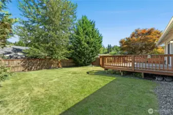 Large Fully Fenced Yard