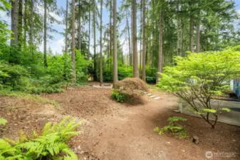 Delightful, low maintenance landscaping