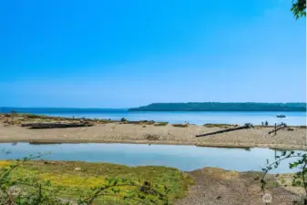 KVI Beach, also known as Point Heyer, is an iconic Vashon beach that is worth visiting when it is sunny or rainy. It has a tidal marsh which is fabulous for bird watching and you might even see the occasional deer or coyote.