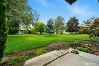 Common Area - Courtyard