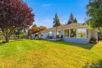 Expansive level lawn framed by mature trees, perfect for play and relaxation