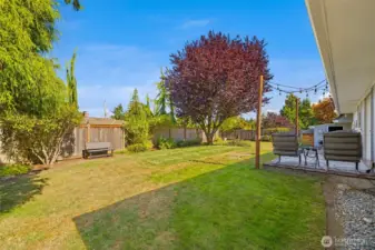 Patio and lawn combine to create a versatile entertaining oasis