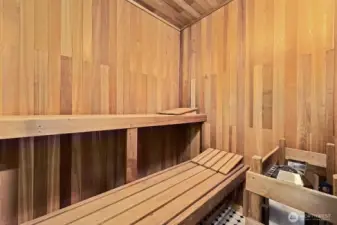 Primary suite sauna