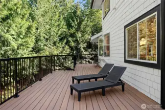 (Composite Trex Decking)