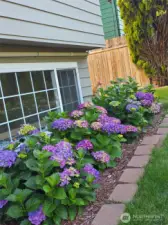 Beautiful custom flowerbeds.