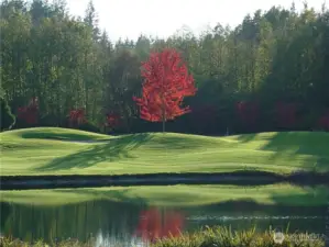 11th hole Semiahmoo Golf & CC