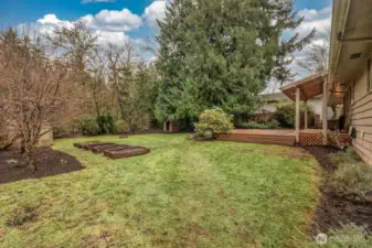 Peaceful backyard retreat with lush greenery and natural surroundings.