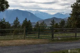 Mountain Backdrop views