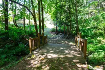 creek with a bridge