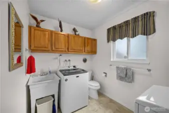 Lower level laundry and 1/2 bathroom with storage closet!