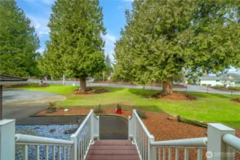 Walking out your front door you're greeted by beautiful mature trees!