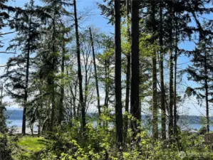 Westerly view will give you amazing sunsets.