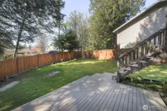 Lower deck (back yard)