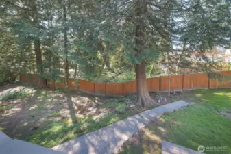 Large back yard with sidewalks