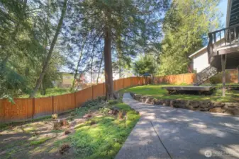 More back yard (ferns just starting)