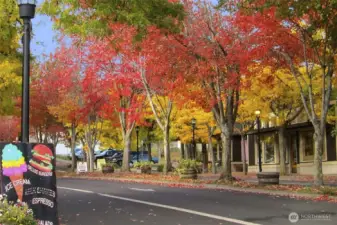 Kingston is a fun coastal community with many eateries to enjoy!