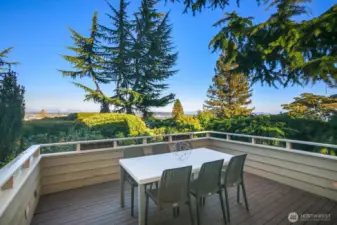 Viewing deck off kitchen