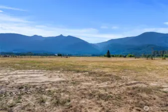 Excellent level pastures