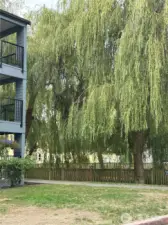 Private Common Areas