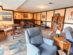 Lower level great room area