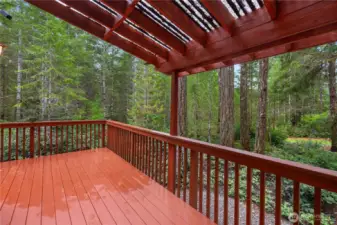 Covered back deck.