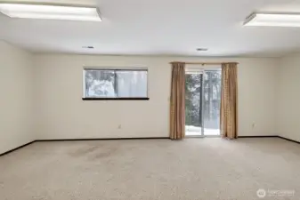 Lower level flex room.