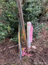 Property line at entrance to parcel