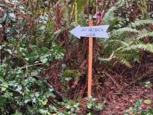 This is the SW corner of the previous map pointing to the SE corner. A 20' side setback from the south property line is required by zoning.