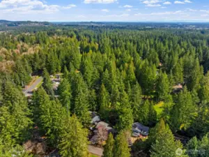 Mature Trees Everywhere!