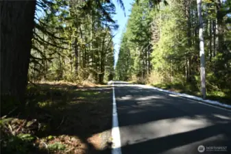 Adjacent to Money Creek Rd ~ County paved and maintained.