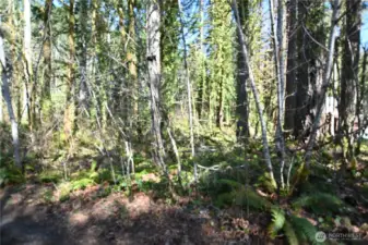 Lots 3, 4, 5 & 6 together in 1 tax parcel.