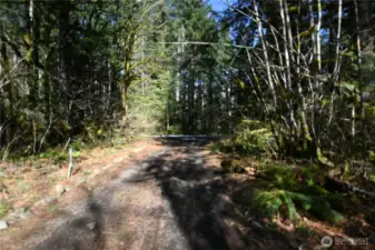 Primitive road from Old Cascade Hwy to access property