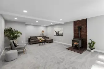 Large living space in lower level with pellet stove