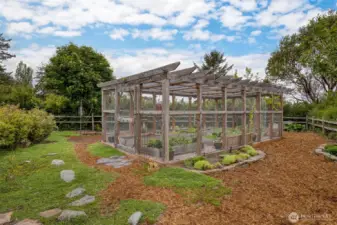 Fully enclosed kitchen garden with raised beds.