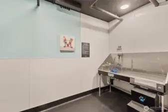 Pet wash