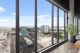 view