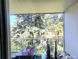 Private deck overlooks evergreens