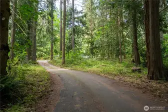 Beautiful private driveway