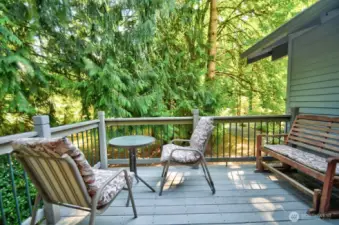 Back deck for relaxing or entertaining.