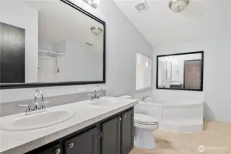 primary suite with walk in closet