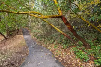Endless trails in and around the community.