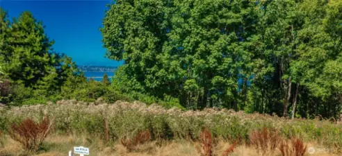City lights of White Rock and the Canadian Mountain range, Semiahmoo spit, Marina and Drayton Harbor views.